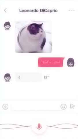 网络攻击软件软件程序维护界面